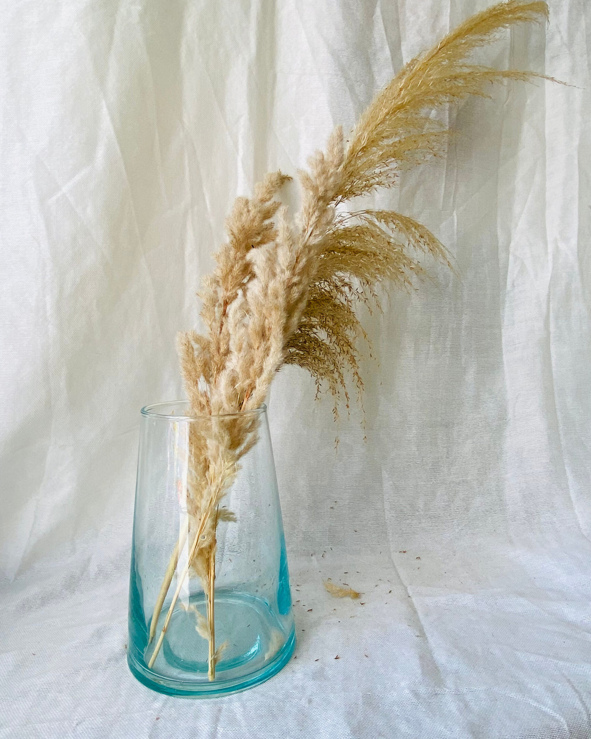 Home c806bacd 11dd 40a9 b9b4 992a7ecfd921